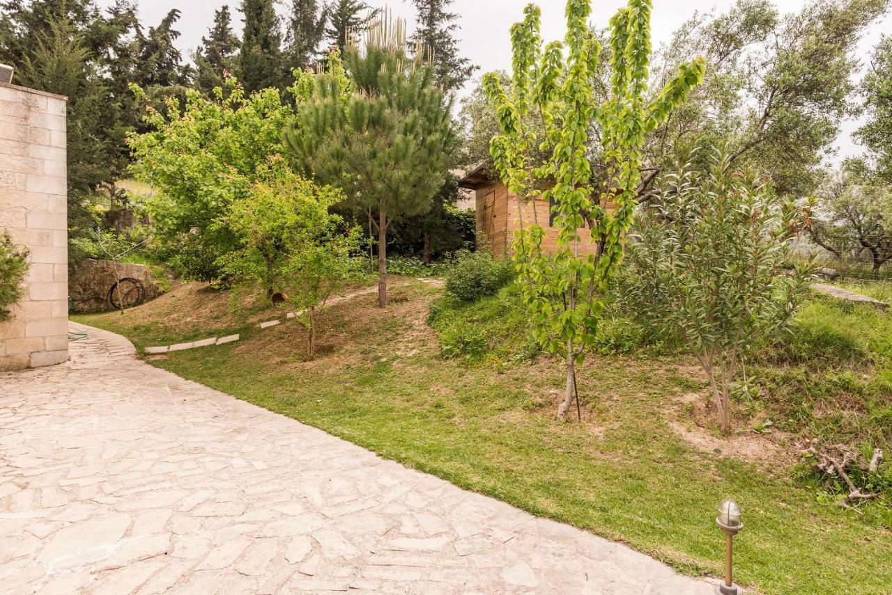Villa Aloni Filippos Экстерьер фото